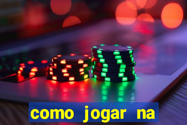 como jogar na lotinha do jogo do bicho